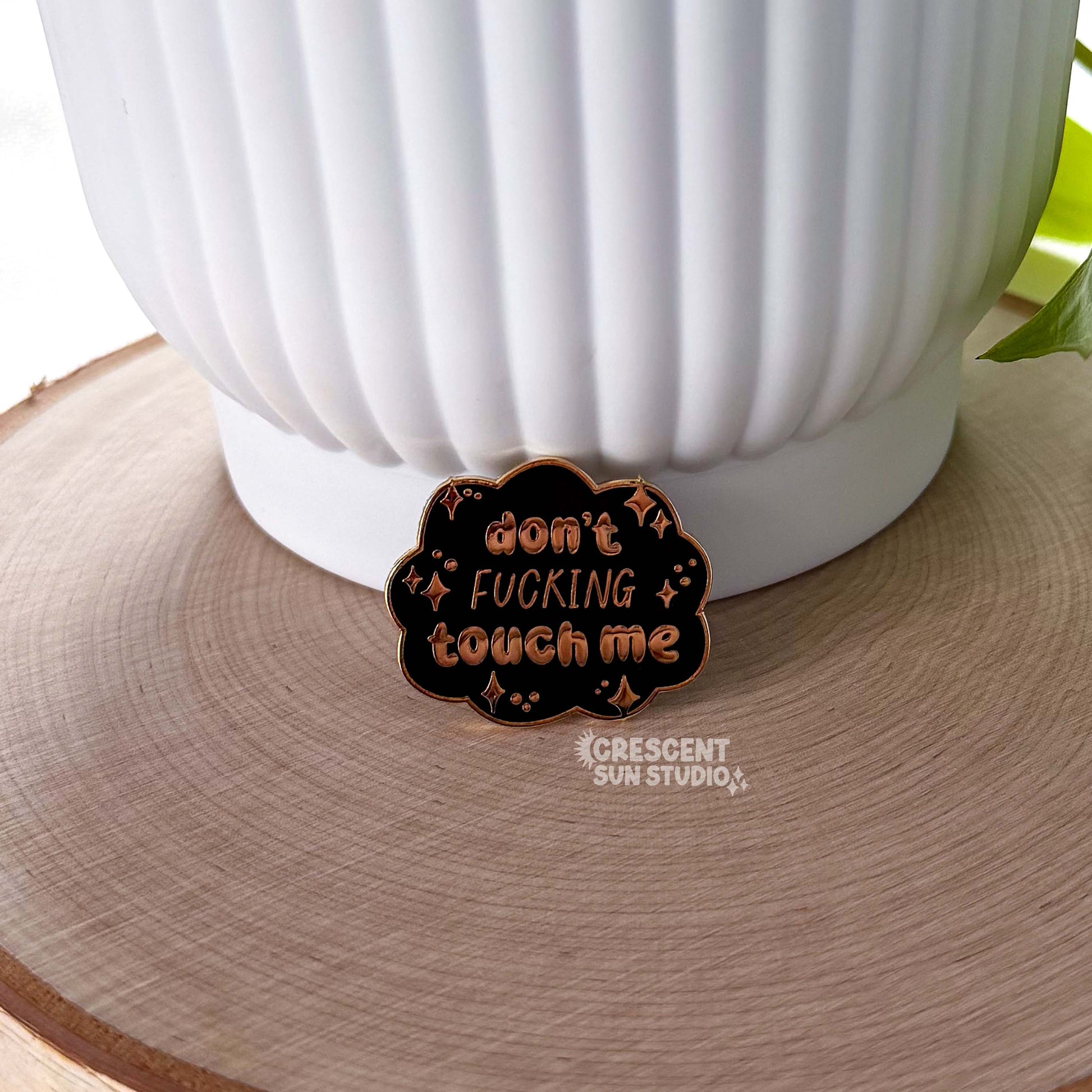 Leaning against a white pot is a black cloud shaped pin with gold lettering that reads "don't fucking touch me" surrounded by little stars.