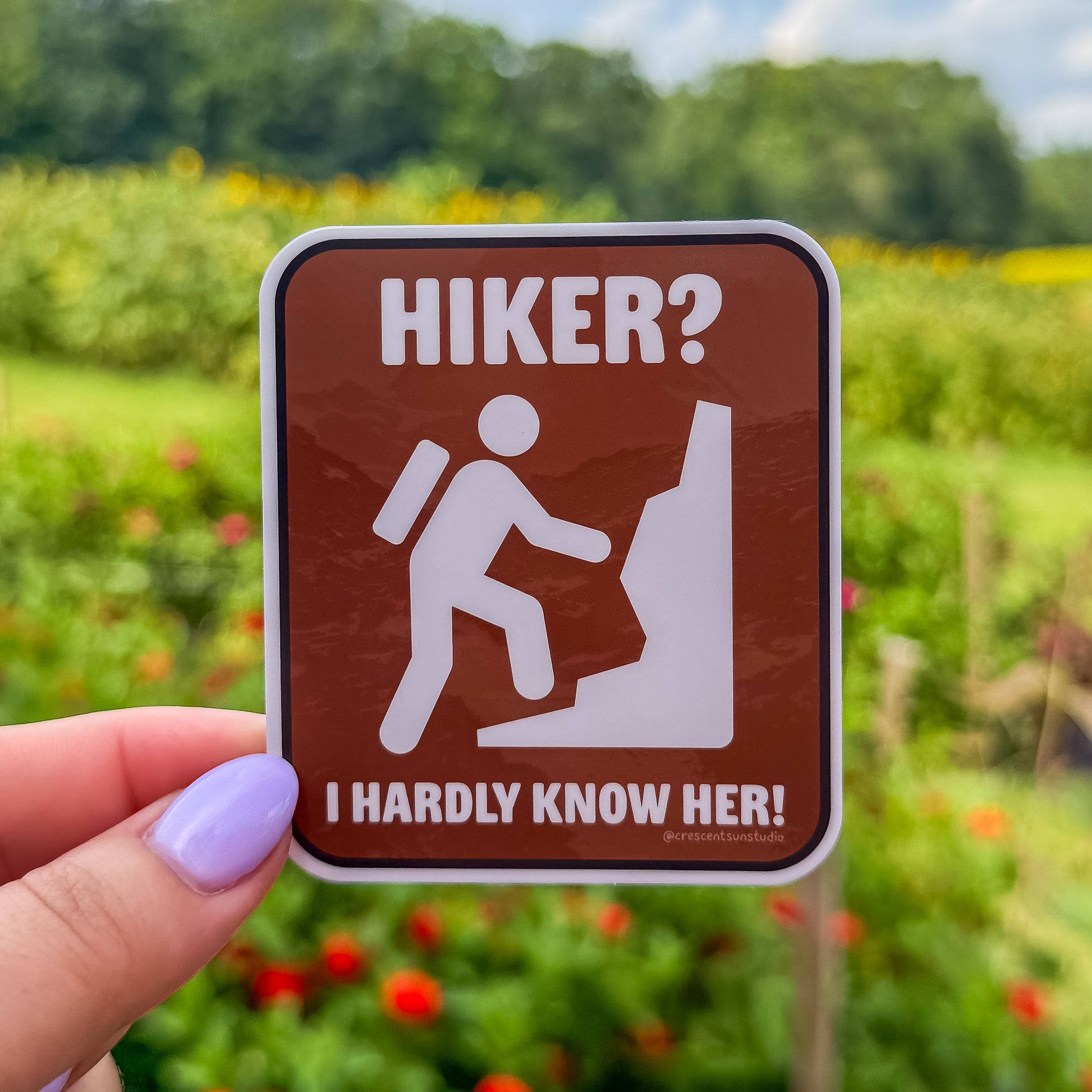 A recreation sign style design features the classic hiking symbol. White text on a brown background reads, "Hiker? I hardly know her." 