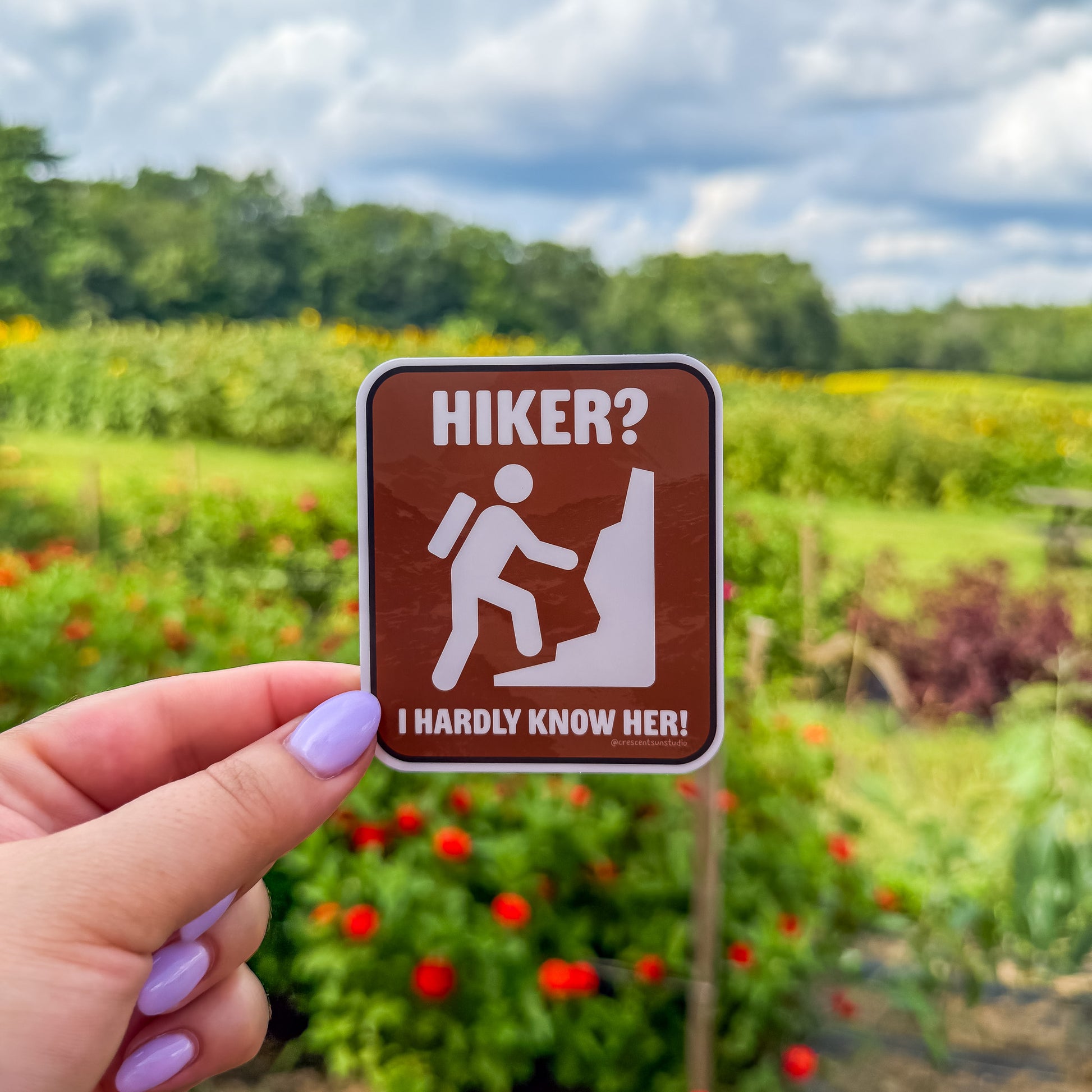 A recreation sign style design features a white pictogram of a hiker climbing. White text on a brown background reads, "Hiker? I hardly know her." 