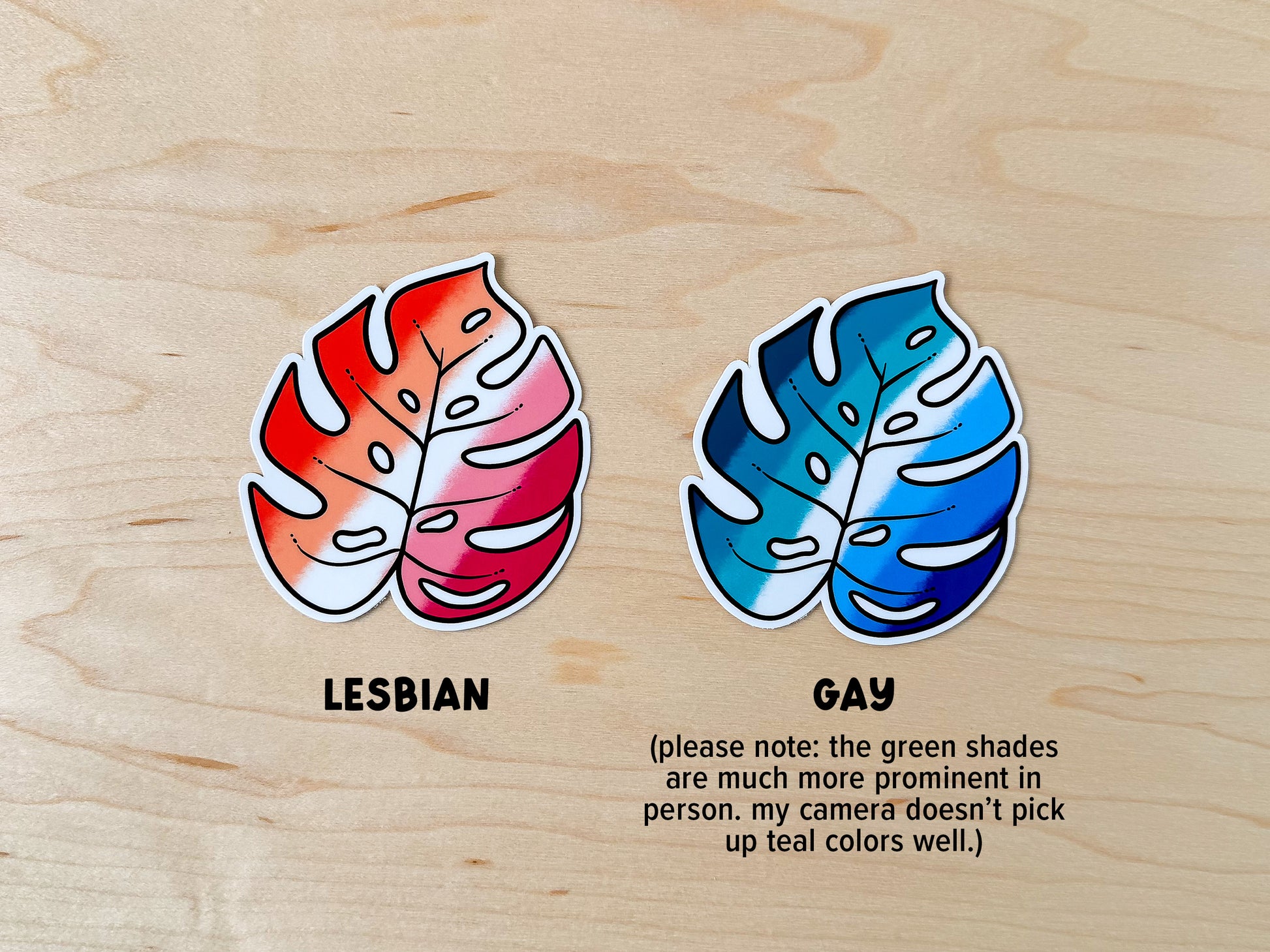 Two monstera pride flag stickers sit on a wooden background. The first depicts the lesbian flag with shades of orange, white, and pink. The second monstera sticker depicts the gay flag, with shades of dark green, teal, white, and blue.