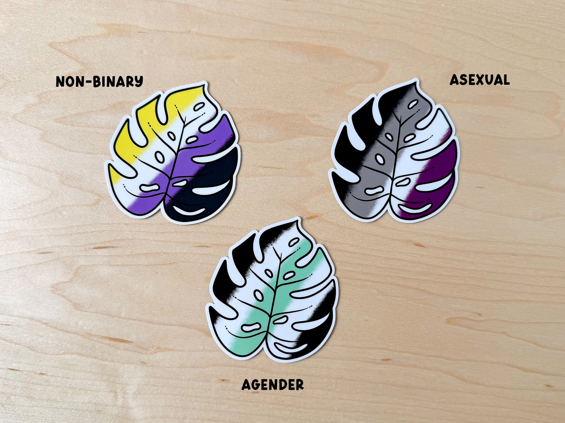 Three monstera stickers sit on a light wood background. The first sticker is colored in yellow, white, purple, and black, depicting the nonbinary pride flag. The second colored with black, grey, white, and purple for the asexual flag. The final monstera sticker is black, white, light green, white, and black representing the agender flag.